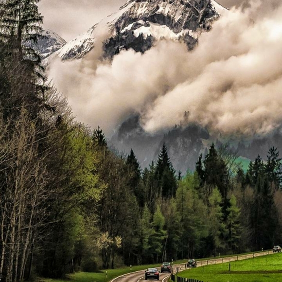 Meet your Posher, Cinder - Picture 5 of 5